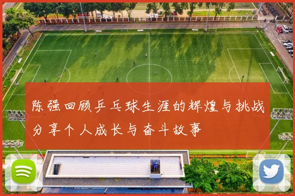 陈强回顾乒乓球生涯的辉煌与挑战分享个人成长与奋斗故事