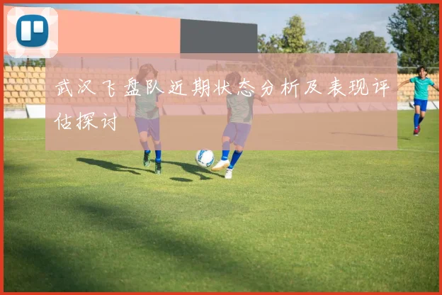 武汉飞盘队近期状态分析及表现评估探讨