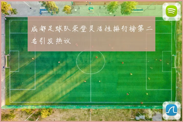 成都足球队荣登灵活性排行榜第二名引发热议