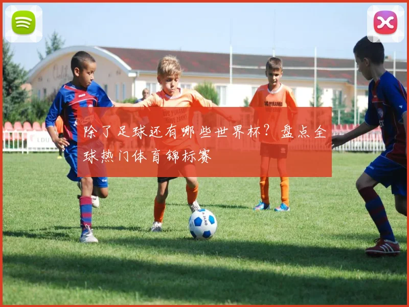 除了足球还有哪些世界杯？盘点全球热门体育锦标赛
